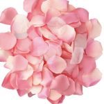 DIABLO PICANTE - 100 PINK PETALS